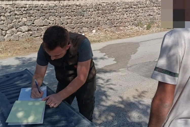 Keklikler doğayla buluşturuldu